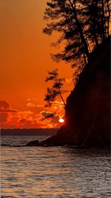 Шлыпра, Пицунда🫶