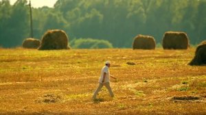 Сваты 7 сезон