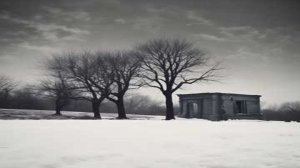 Live: Atmospheric Black Metal + Dark Ambient | Forest Visuals