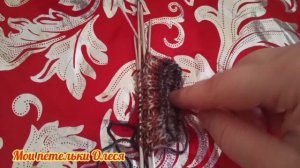 Носочки 3 старт. Триостарты января 2026