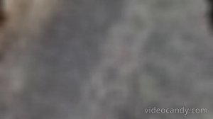 ⚡️СВО 18+ Прилёты по вражеским солдатам дронами-камикадзе.