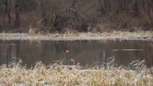 ПЕРВЫЙ ЛЁД! ЗИМНЯЯ РЫБАЛКА 2025 - 2026. Открыла сезон!