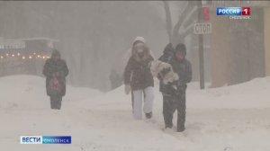 Как смоляне справлялись с последствиями циклона