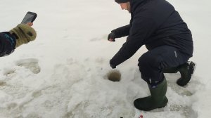 Основной водоём. Форель на пасту.