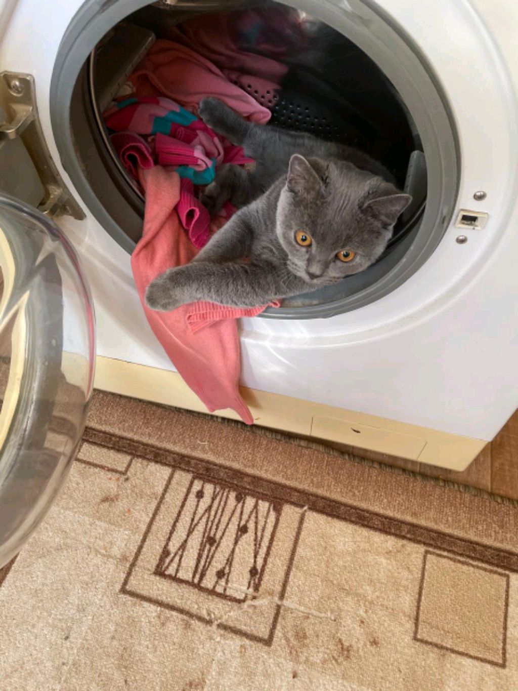 Кузя🐟 смотреть онлайн