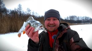 Безмотылка. Окунь на жерлицу! 10.01.2026 ☃️🥶❄️🎣