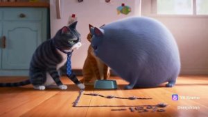 Совещание у пустой миски | Meeting in an empty bowl