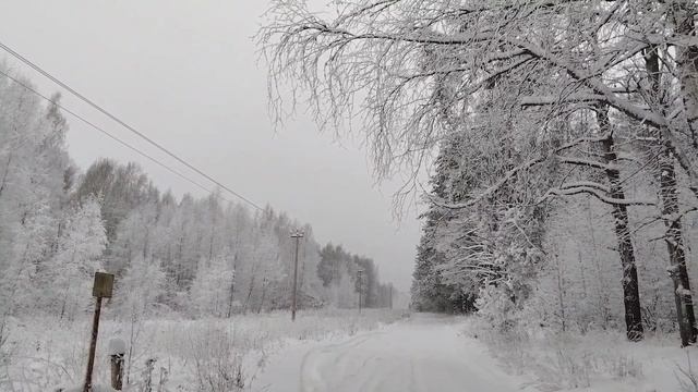 Снежная метель или прохождение южного циклона смотреть онлайн