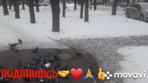 🚀🖋️ УРА СВЕЖИЙ ВОЗДУХ ❄️ УТРЕННЯЯ ПРОГУЛКА 💃🔥МОИ БУДНИ 🚀🖋️