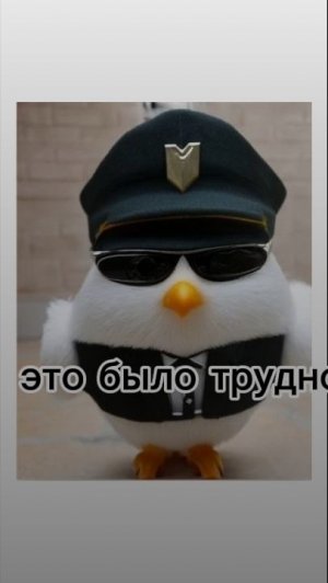 Вся история канала ARSY