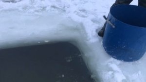 утренние зарыбление форели