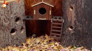 Видео для кошек про крысок развлекать питомцев 🐭🐀😂 (425)