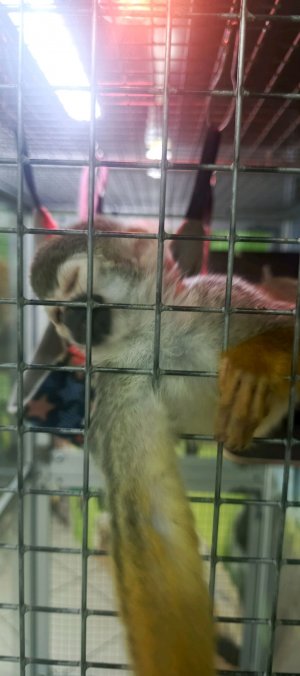 отвечаю на вопросы от подписчиков.