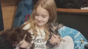 Вероника нашла НОВЫЙ дом 09/01/26 #купитьщенкачихуахуапродаю +79215950848