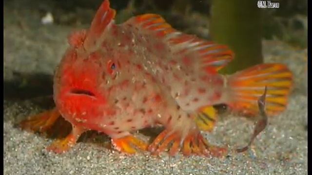 VID_20260110_214301_508.mp4