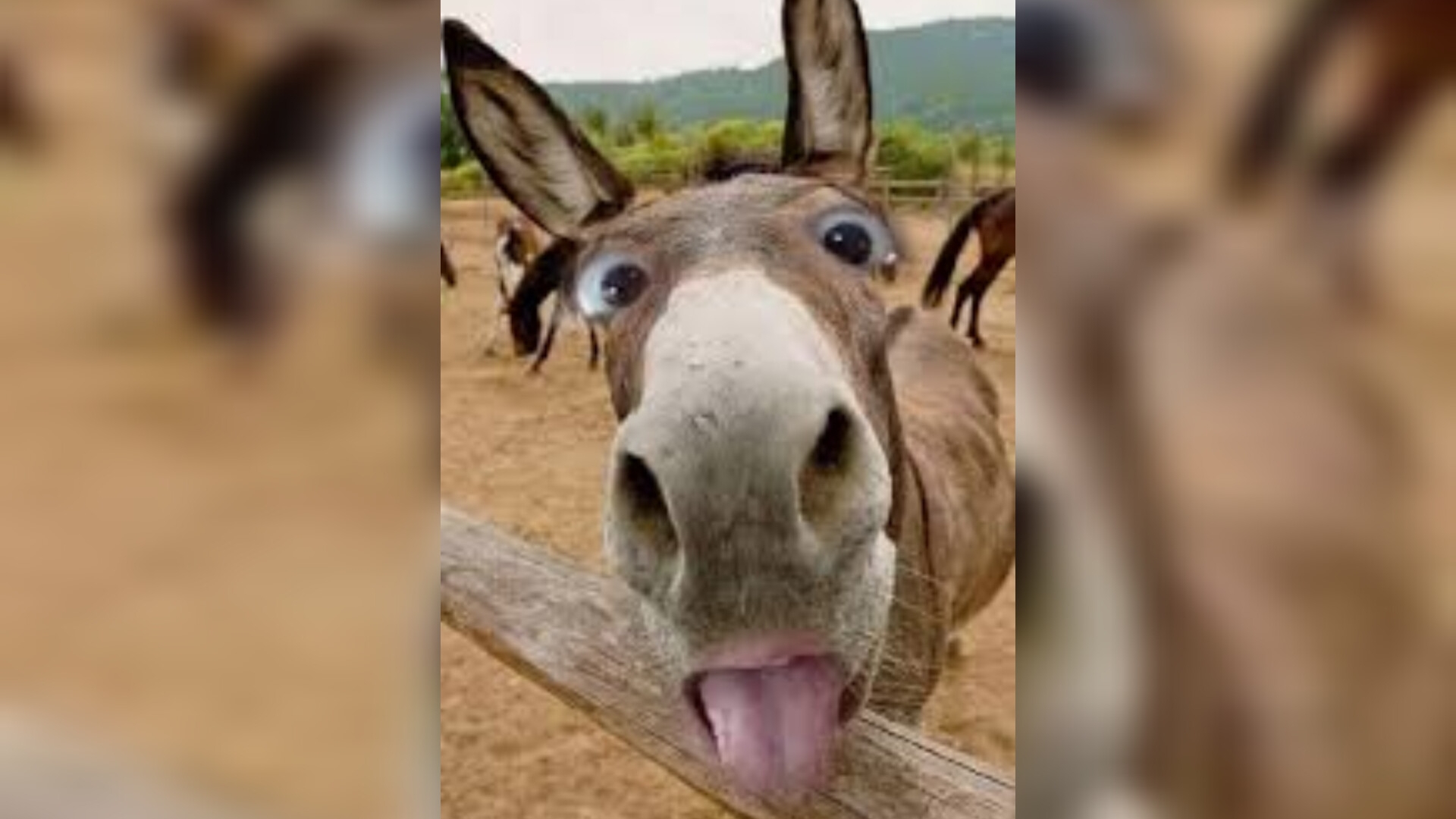 Не были на даче с прошлого года,приехали,а таааам.... смотреть онлайн