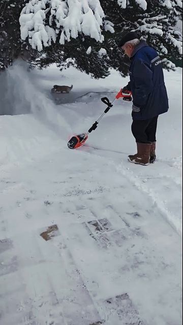 Артикул Я.Маркет - YM10190760 (не забудь при поиске YM) смотреть онлайн