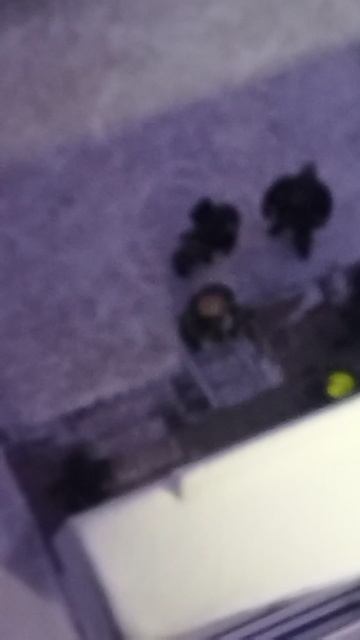 происшествие