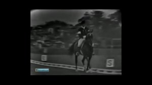 Тележурналист Игорь Солоников "Костромской Ипподром"