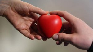 Сергунина рассказала о работе столичных центров «Доброе место»