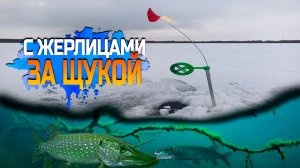 С жерлицами за щукой!