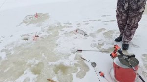 VID_20260110_105910_571