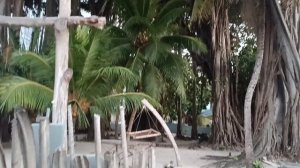 Остров Камаду, Мальдивы, январь 2026 (Kamadhoo, Maldives, January 2026)