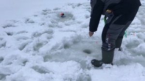 утренние поимки форели