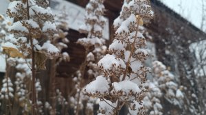 Готовимся к весне. Поехали отдыхать. Саяногорск Хакасия