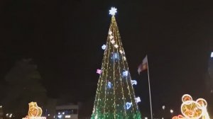 Сочи.Январь.Вечер