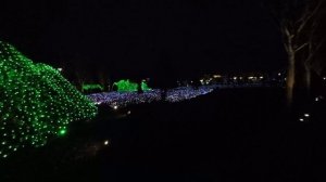 Вечерний парк Краснодар