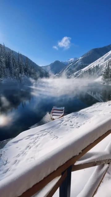 МУДРОСТЬ ПРИРОДЫ. смотреть онлайн