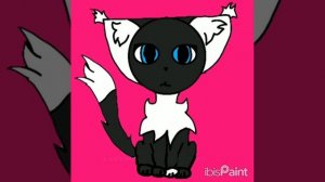 Жизнь Чёрной звезды