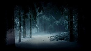 Звук снежной бури, Вьюга, Метель, Видео для крепкого сна, Отдыха и Учебы - Зона Релаксации