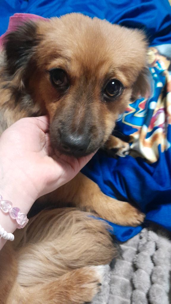 прогулка смотреть онлайн