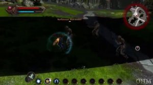 Kingdoms of Amalur: Reckoning