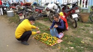 Мама поневоле. Дуонг. Собираю танжерины для продажи. Повседневная жизнь и быт. Серия 29