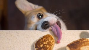 Кроссовки с электроприводом и умная машинка для стрижки волос.