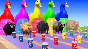 Веселые игры с слоном, гориллой, бегемотом, тигром - 3D игра с животными - Забавные 3D животные