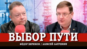 На всех парах, или Как сойти с дороги разочарований и выйти на путь развития | Лапушкин | Бирюков