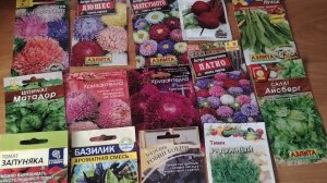 10 января 2026г. Купила семена, посеяла астры. Нас завалило снегом. Котики-коты)))