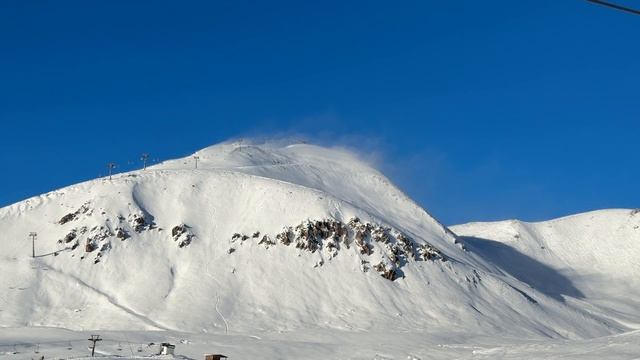 IMG_3239 смотреть онлайн