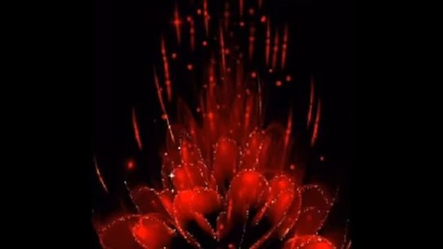 video_11111067817454.mp4