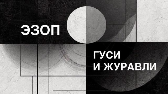 ЭЗОП. Басня «ГУСИ И ЖУРАВЛИ».