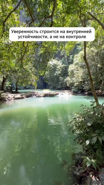 Действуйте спокойно и последовательно 👇 #мотивация #заработок #деньги #успех #бизнес #здоровье