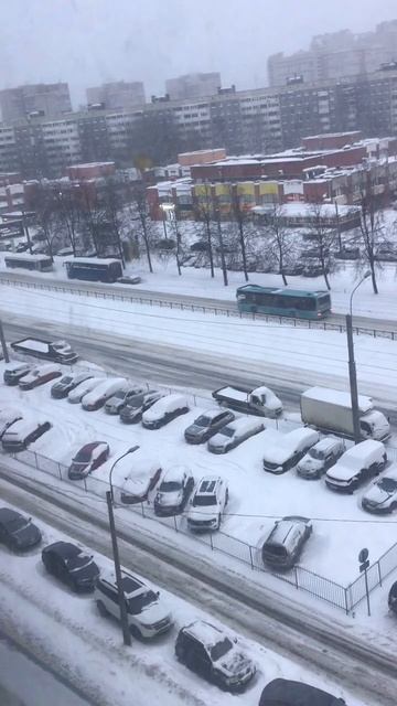 Санкт-Петербург. 10.01.2026. Сутки идет снег,  на проспекте Энгельса