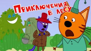 Три Кота — Мультфильм для Детей | Приключения в Лесу | Три Кота Мультик Смотреть |Развивающая Игра