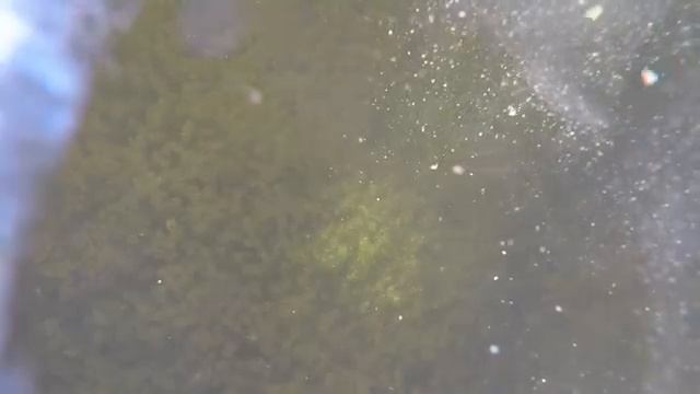 РЫБАЛКА ПО ПЕРВОМУ ЛЬДУ в ДЕЛЬТЕ ВОЛГИ. Приключения в один день на аэролодке. Же