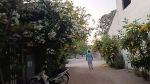 Остров Камаду, Мальдивы, январь 2026 (Kamadhoo, Maldives, January 2026)