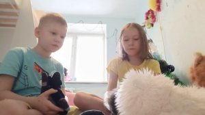 мяу остались одни дома